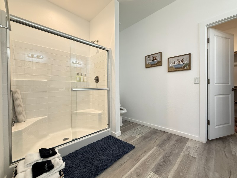 Primary bath shower